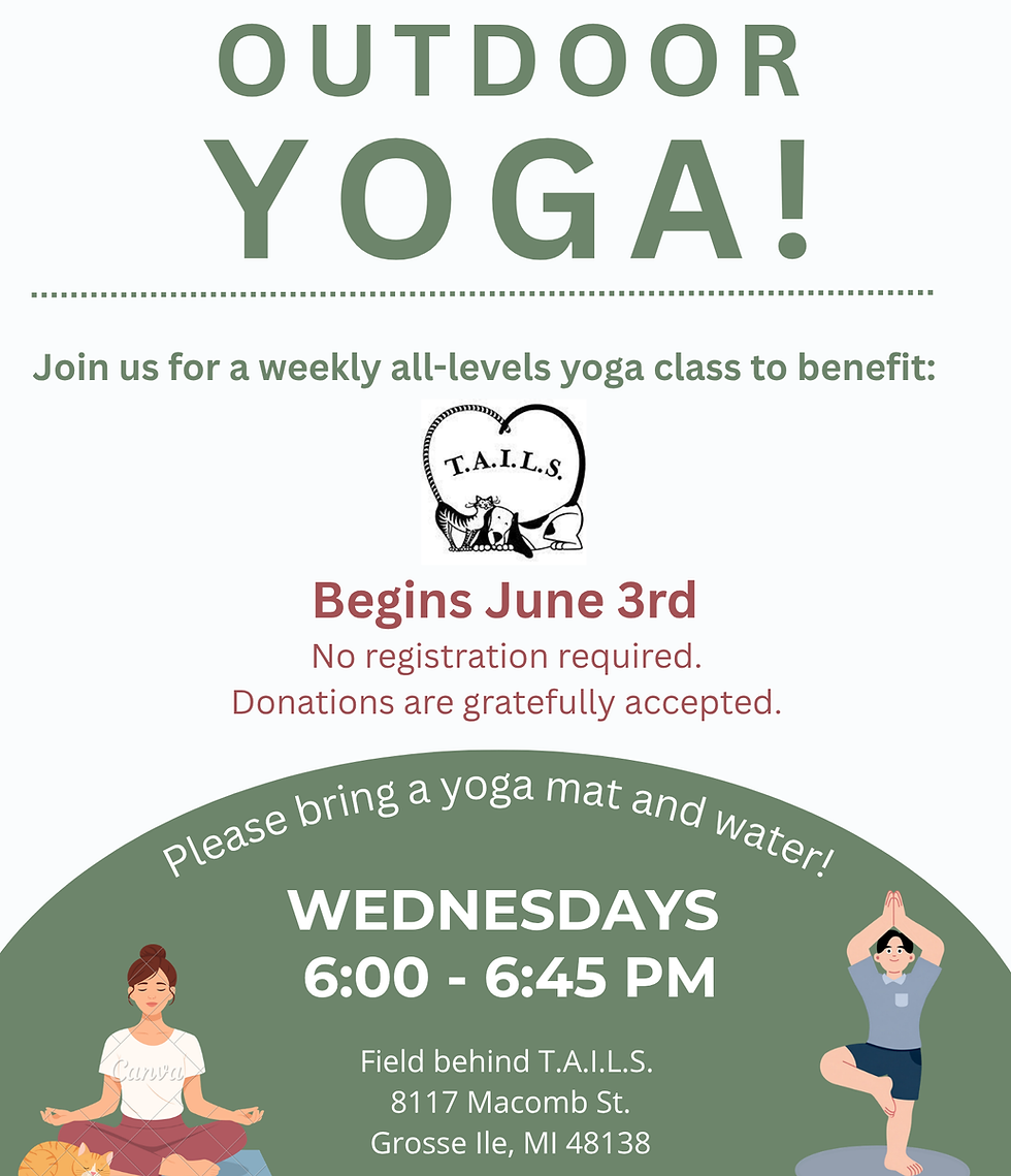 yoga.png