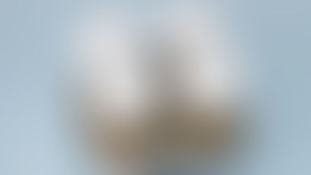 14 x de beste koffie to go