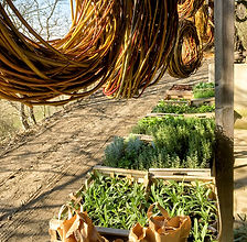 Vom Hügel Bio Blumen