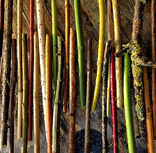 Vom Hügel Bio Blumen