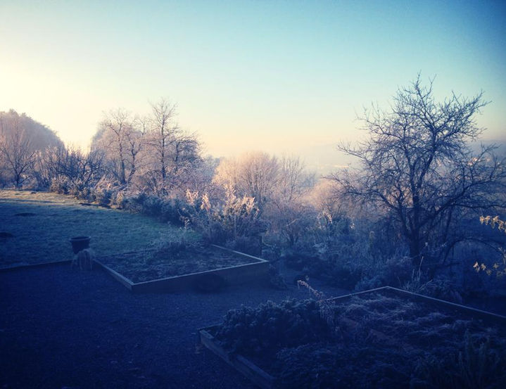 2011 Wintersonne mit Blick auf den Garten in der ersten Ebene.jpg