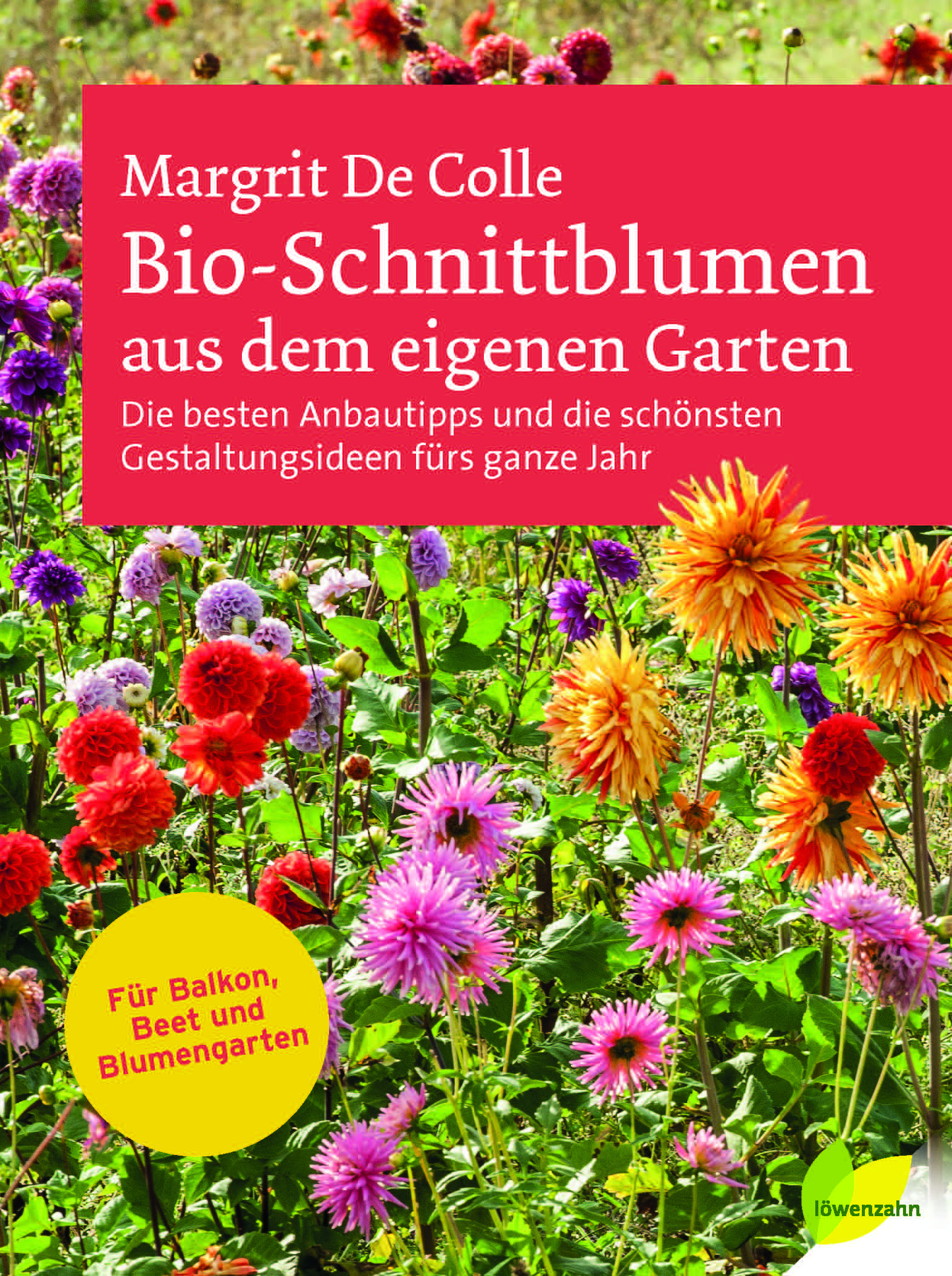 Paket 1 Das Buch
