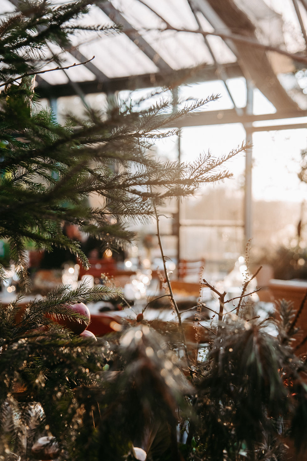 ADVENT FEST BRUNCH mit anschließender Live Musik