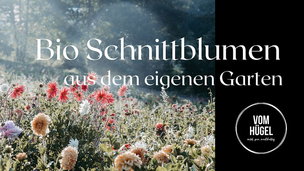 ONLINE : Saison Start für neue Flower Farmer