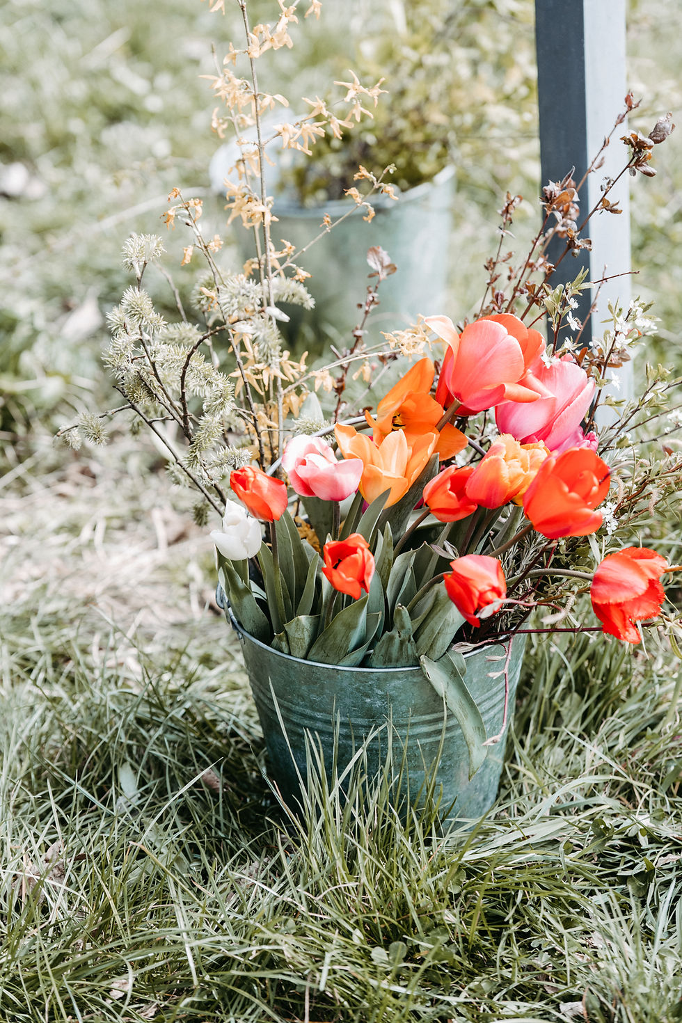 Essbare Blüten & Gemüse Kräuter Sträuße