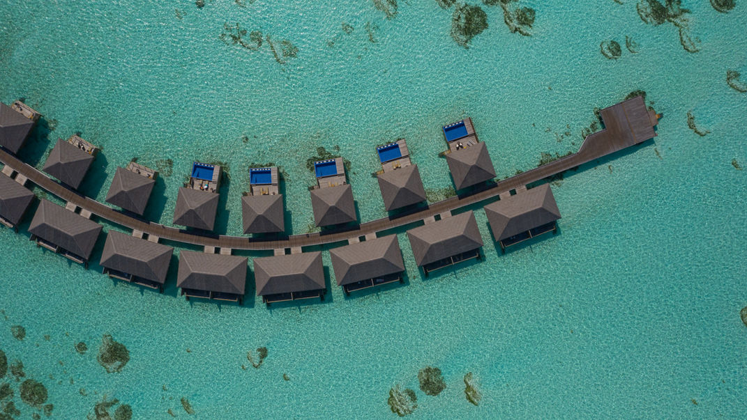 For an exclusive experience in the Maldives with Cocoon Maldives Resort makes sure that couples and families can experience moments of tranquility and relaxation in a unique location nestled in the Indian Ocean.