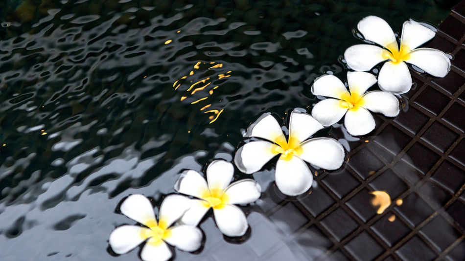 For an exclusive experience in the Maldives with Cocoon Maldives Resort makes sure that couples and families can experience moments of tranquility and relaxation in a unique location nestled in the Indian Ocean. 
