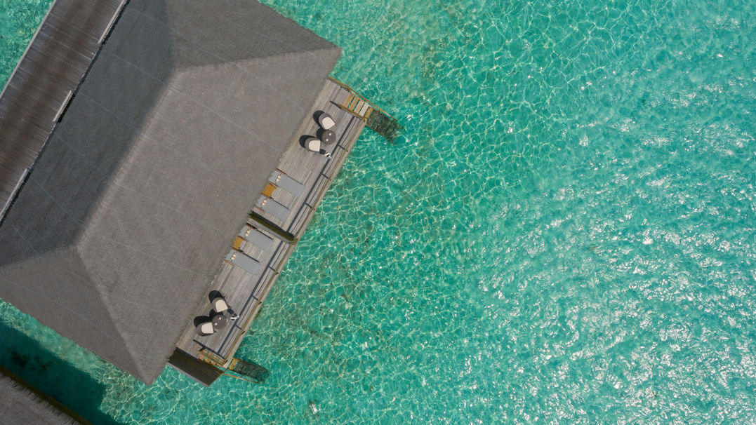 For an exclusive experience in the Maldives with Cocoon Maldives Resort makes sure that couples and families can experience moments of tranquility and relaxation in a unique location nestled in the Indian Ocean.