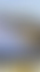 Electrifying Your Home ~ Responsibly & Affordably