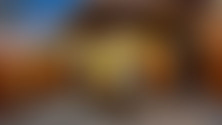 ADU Best Practices: Ten Questions to Ask Before Design Begins