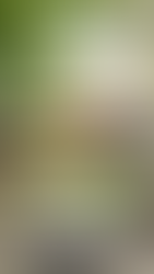 The East Bay Green Home Tour: