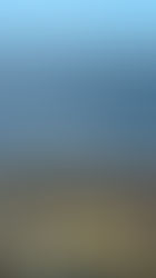 Berkeley Bucks Spark Local Economy