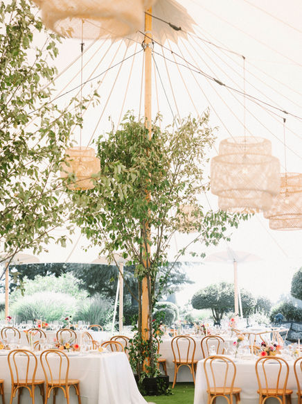 Sperry tent weddings with tree installations and rattan chandeliers