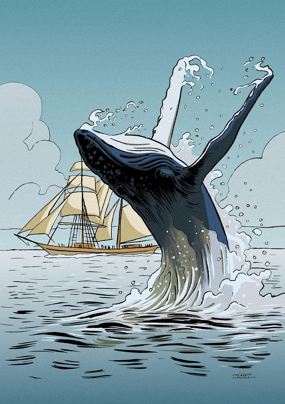 Baleine et Pilgrim