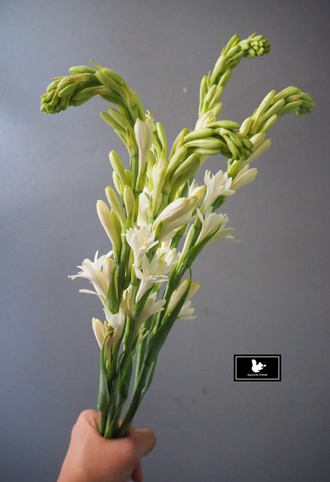 新竹;竹北;花店