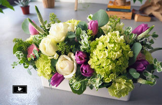 新竹開幕花禮 | 畫畫教室的開幕花禮