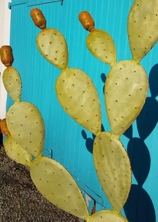 Miniature : grand cactus