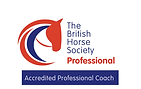 Equine professional coach