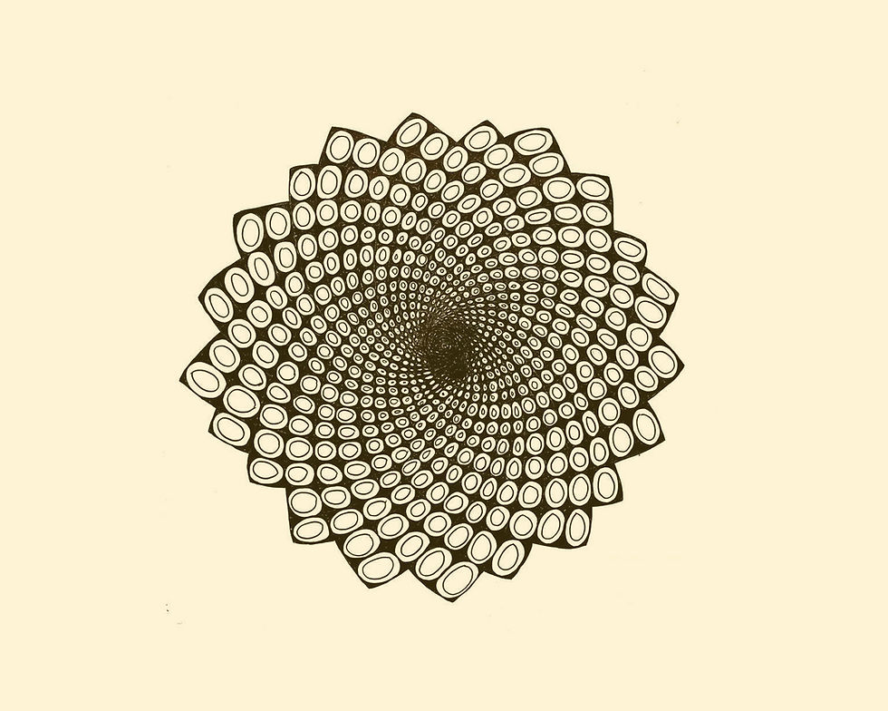 Discover the Sacred Geometry of Water