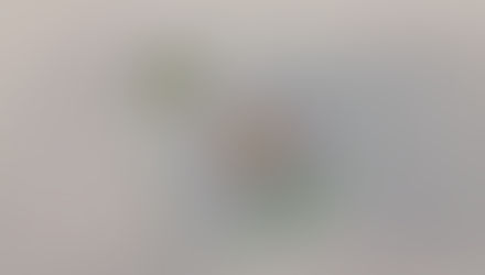 Mutualistic Relationship