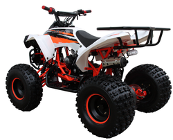 Mid 125R Sport 3125B (8 Wheel) 003