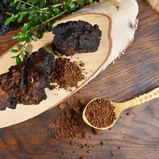 chaga_edited.jpg