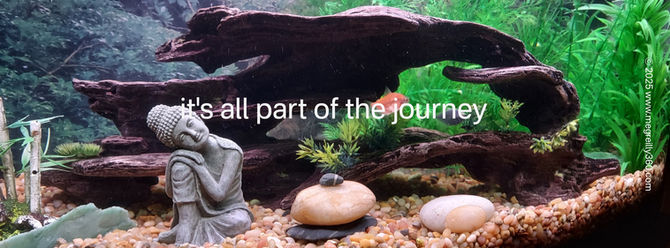 cleaning the fish tank