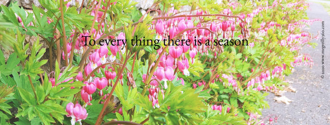 To every thing there is a season