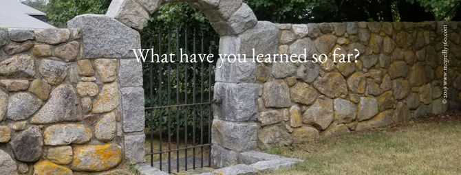 What have you learned so far?