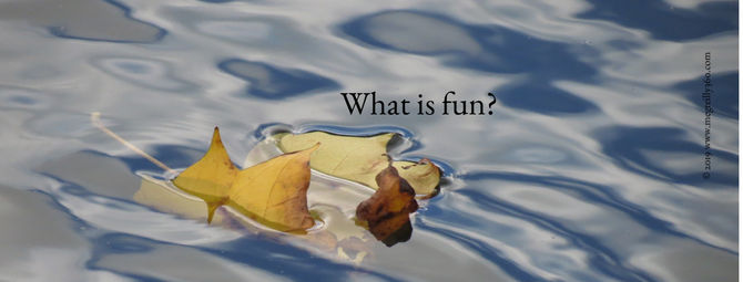 What is fun?