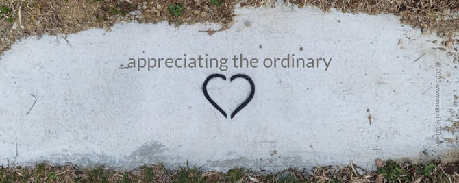 Appreciating the ordinary