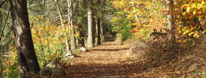 Follow your path