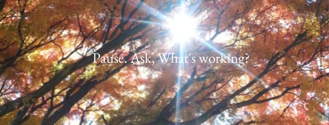 What's working?