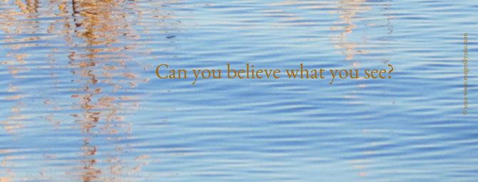 Can you believe what you see?