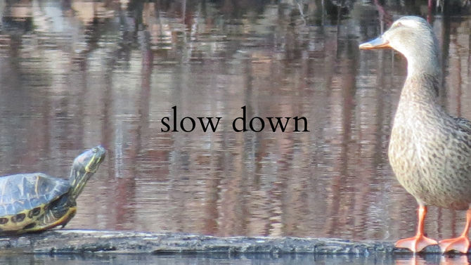 slow down