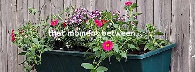 that moment between