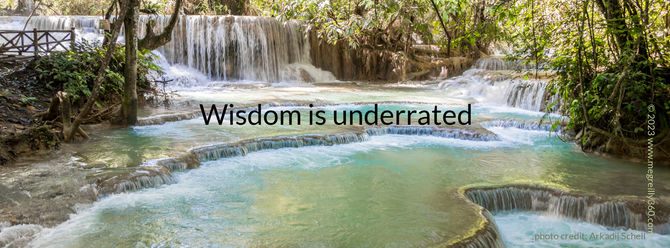 Wisdom is underrated