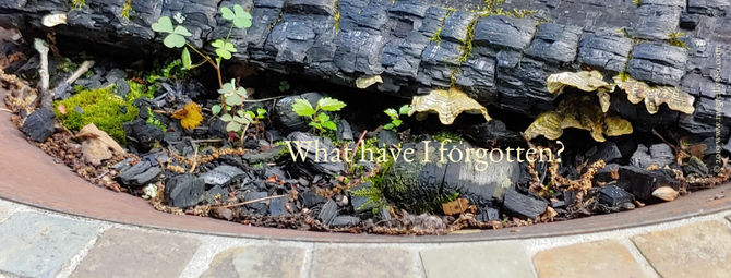 What have I forgotten?