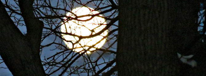 ... and a happy new day