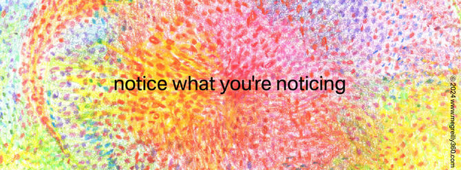 notice what you're noticing