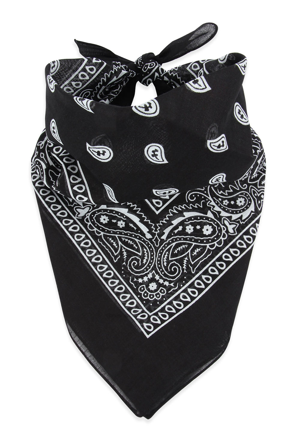 Миниатюра: Paisley Print Bandana