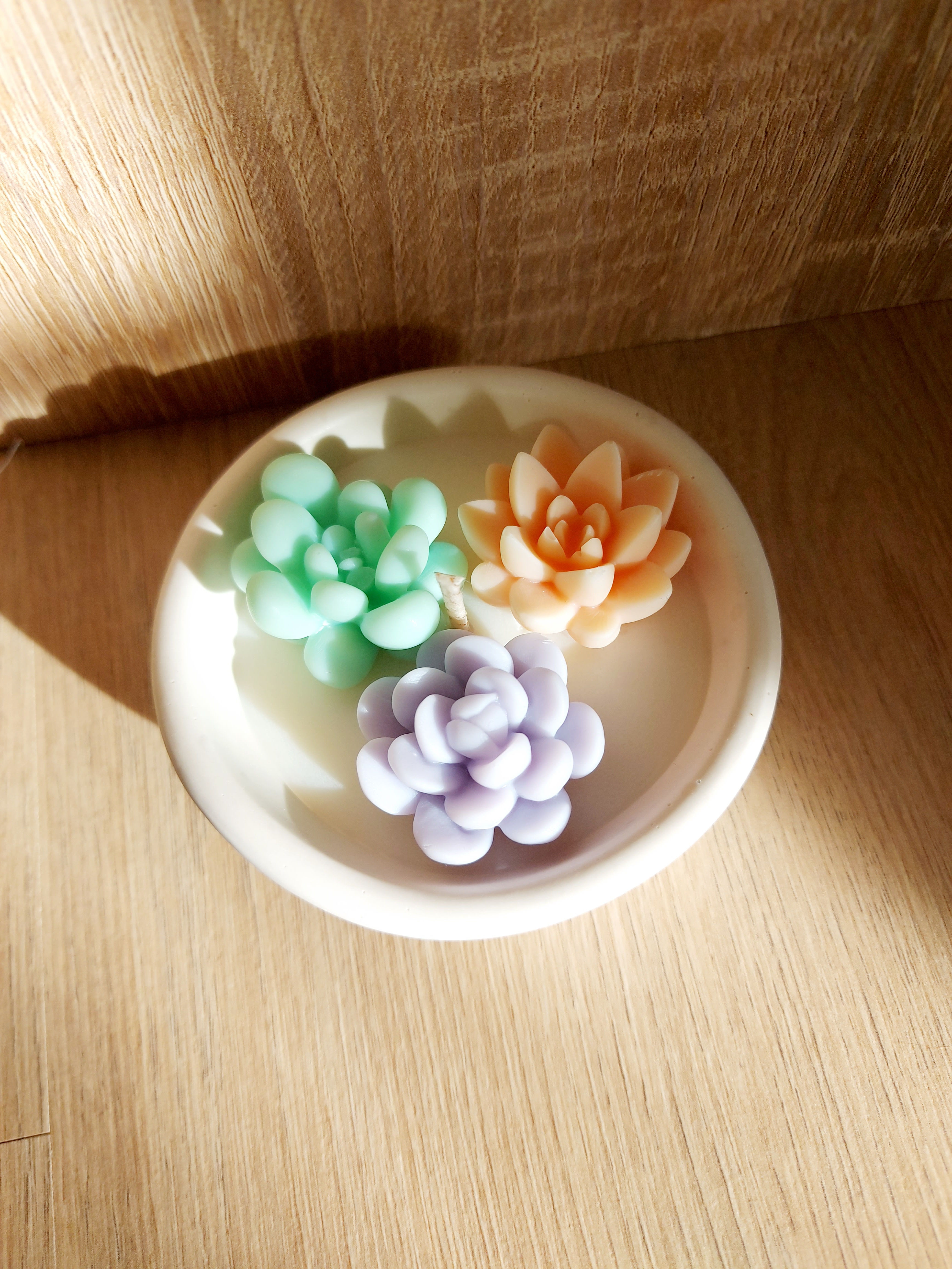 Succulents Candle