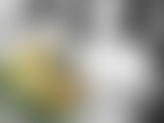 One in five digital nomads make more than $100 000 per year working remotely