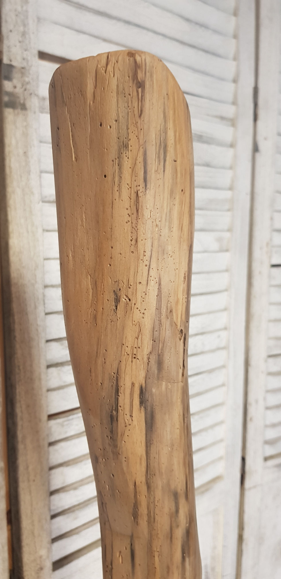 PIERRE PONCE MAT5.jpg