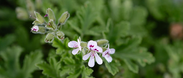 3 Corners - 31.12_edited.jpg