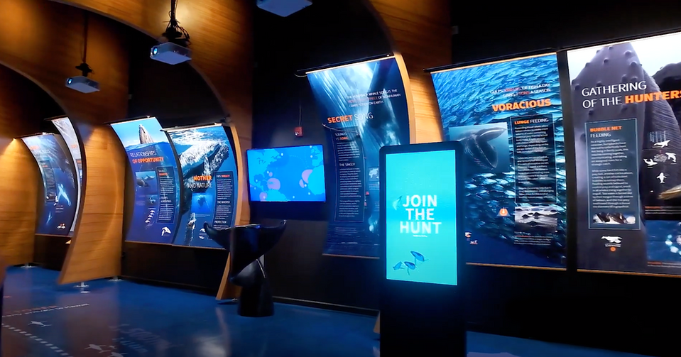 Screen Shot 2020-09-07 at 11.31.32 AM.png