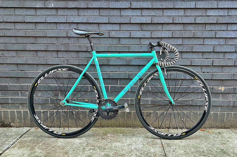 IMG_0053_SnapseedCopy.heic
