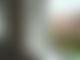 Maximising Home Efficiency with UPVC Windows