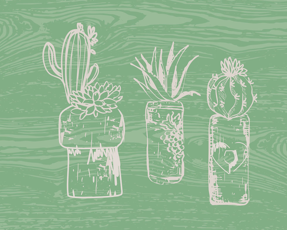 Thumbnail: Corked Planters