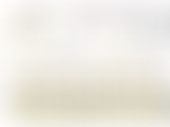 ２０１３年度 大会結果